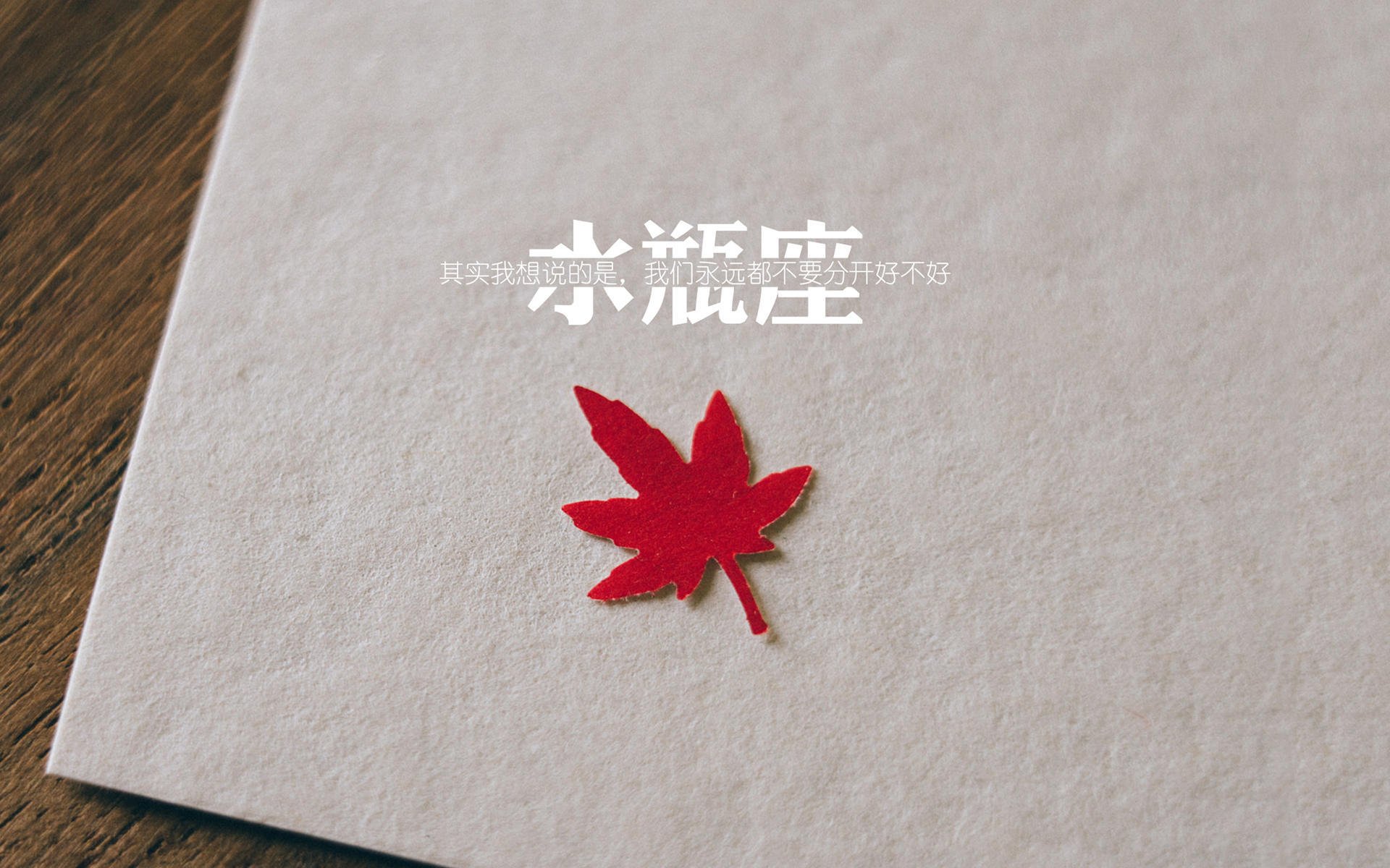 _明星运动员的幕后故事:坚持与梦想的交织_,运动明星的励志故事