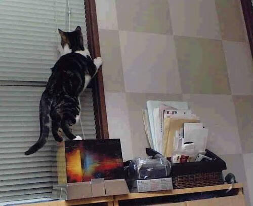 _水中雕塑比赛:科技点缀的艺术运动_,水下雕塑