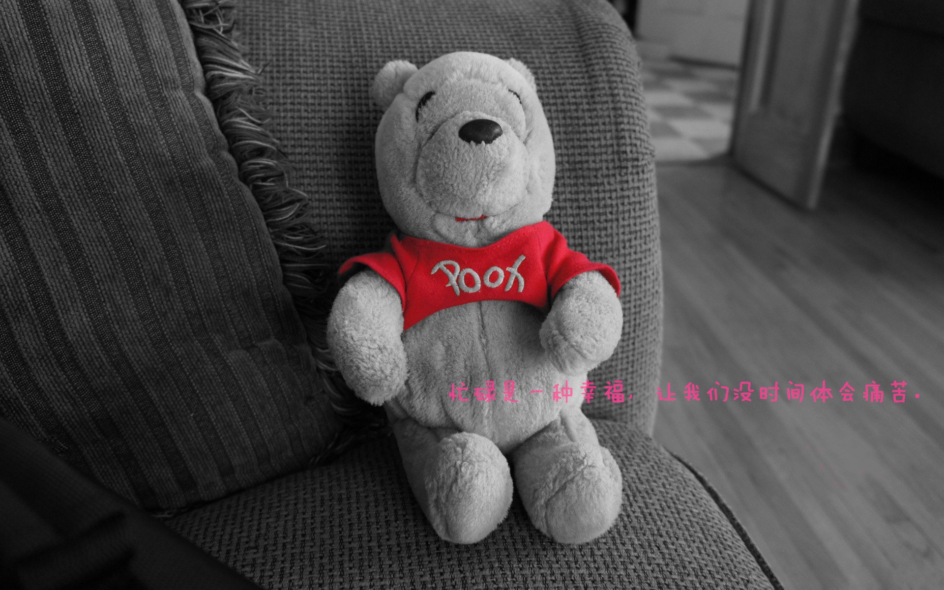 开云·Kaiyun网页版-_红土季节：场地变更带来全新挑战_，红土地最佳观景时间