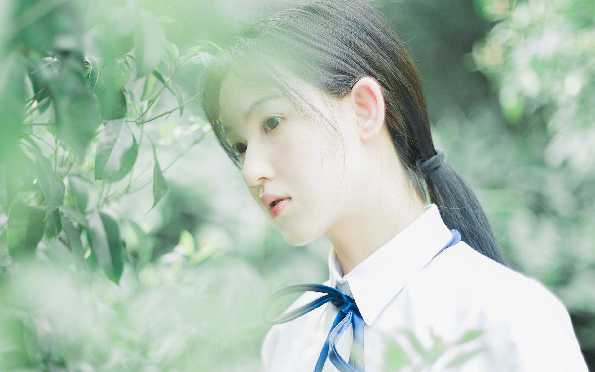 Kaiyun APP-_经典阵容重现：历史名将组队表演赛_，历史名将游戏