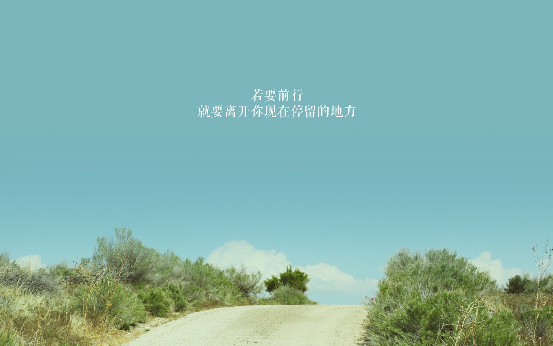 _青少年自行车骑行节:绿色出行新风尚_,青年自行车骑行活动