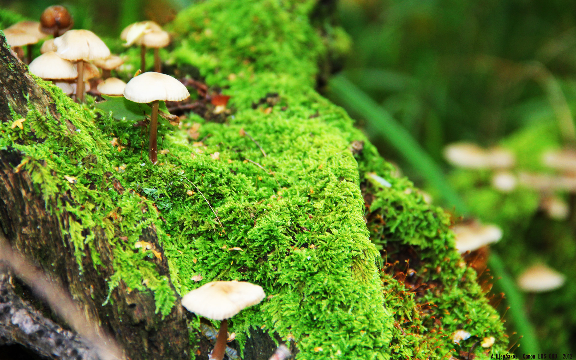 开云中国-_青年运动员展现风采，打造未来体育明星_，青年体育健将