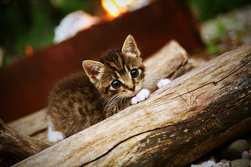 开云·Kaiyun网页版-“英超精彩不断，逆转瞬间点燃现场气氛”，英超大逆转