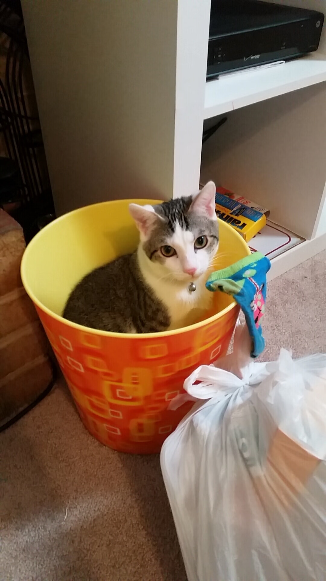 开云网页版登录入口-《王者荣耀线上世界杯，LGD战队力压群雄夺冠》，王者荣耀2020世界冠军杯战队