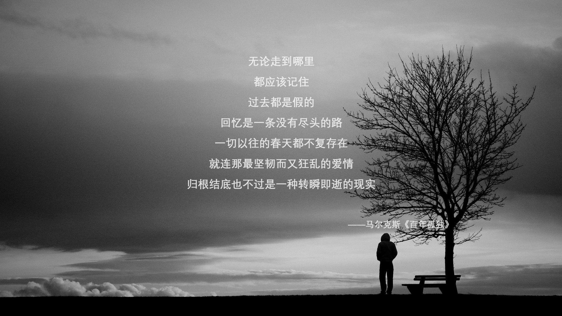 凯尔特人举办“传奇球衣背后的故事”讲座系列，nba凯尔特人传奇队员