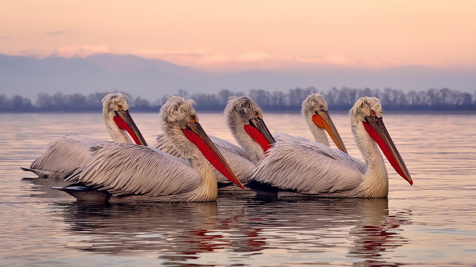 KAIYUNAPP-史上最激烈的“钢铁防线”对抗赛，钢铁防线在哪