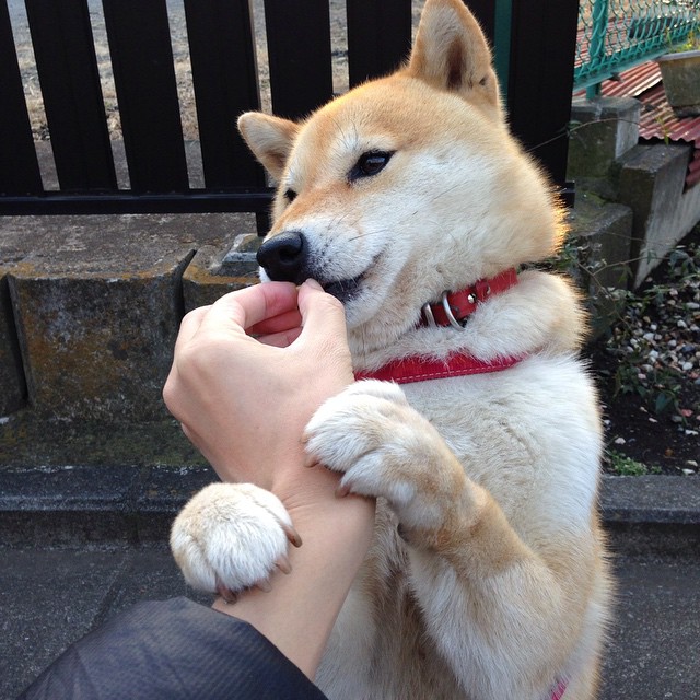 大奖赛奖金池再创新高,奖金吸引更多顶尖战队,大奖赛规则