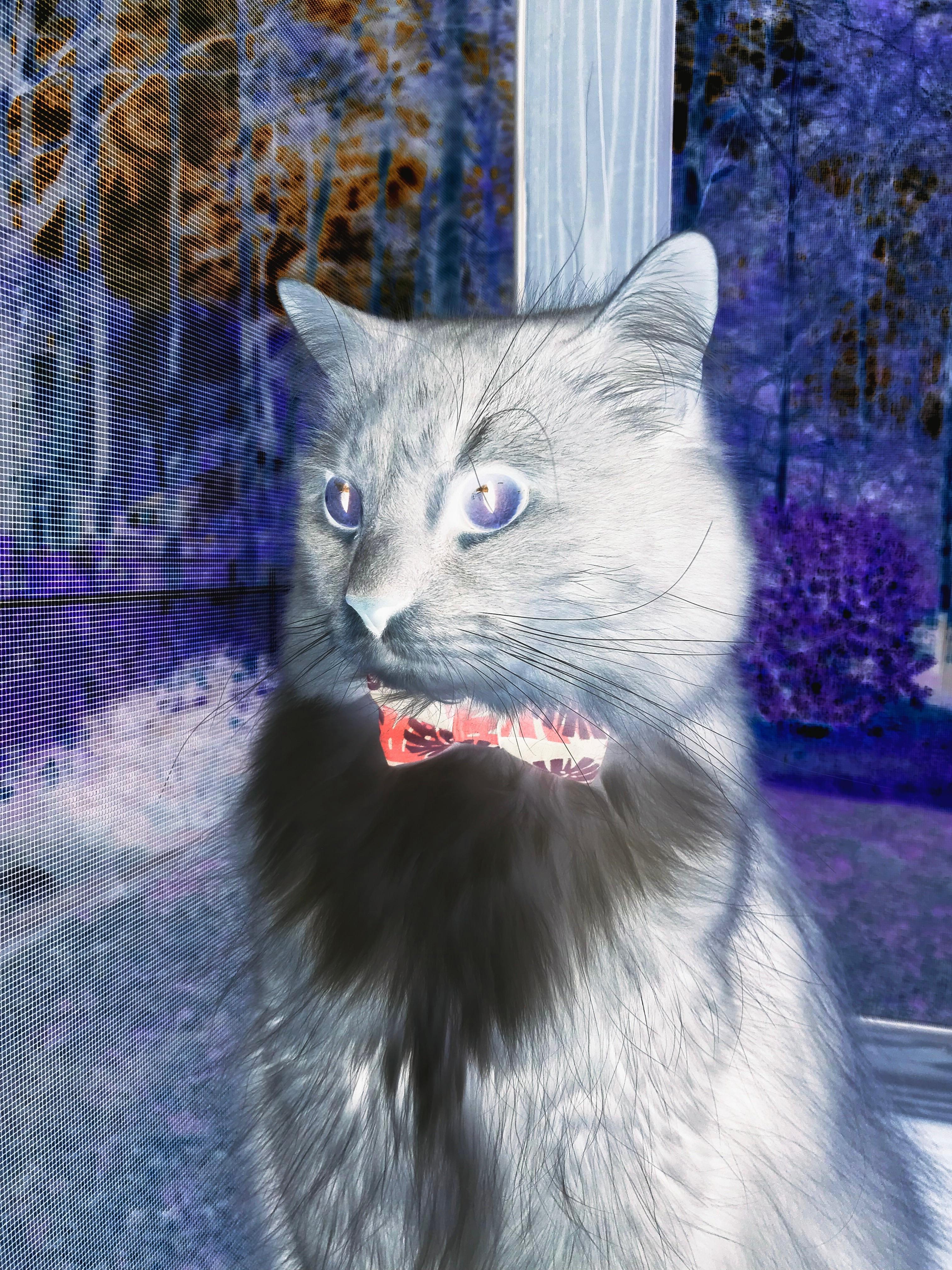 未来智慧场馆“云管理”成为行业标配,基础设施不断升级,智慧场馆解决方案