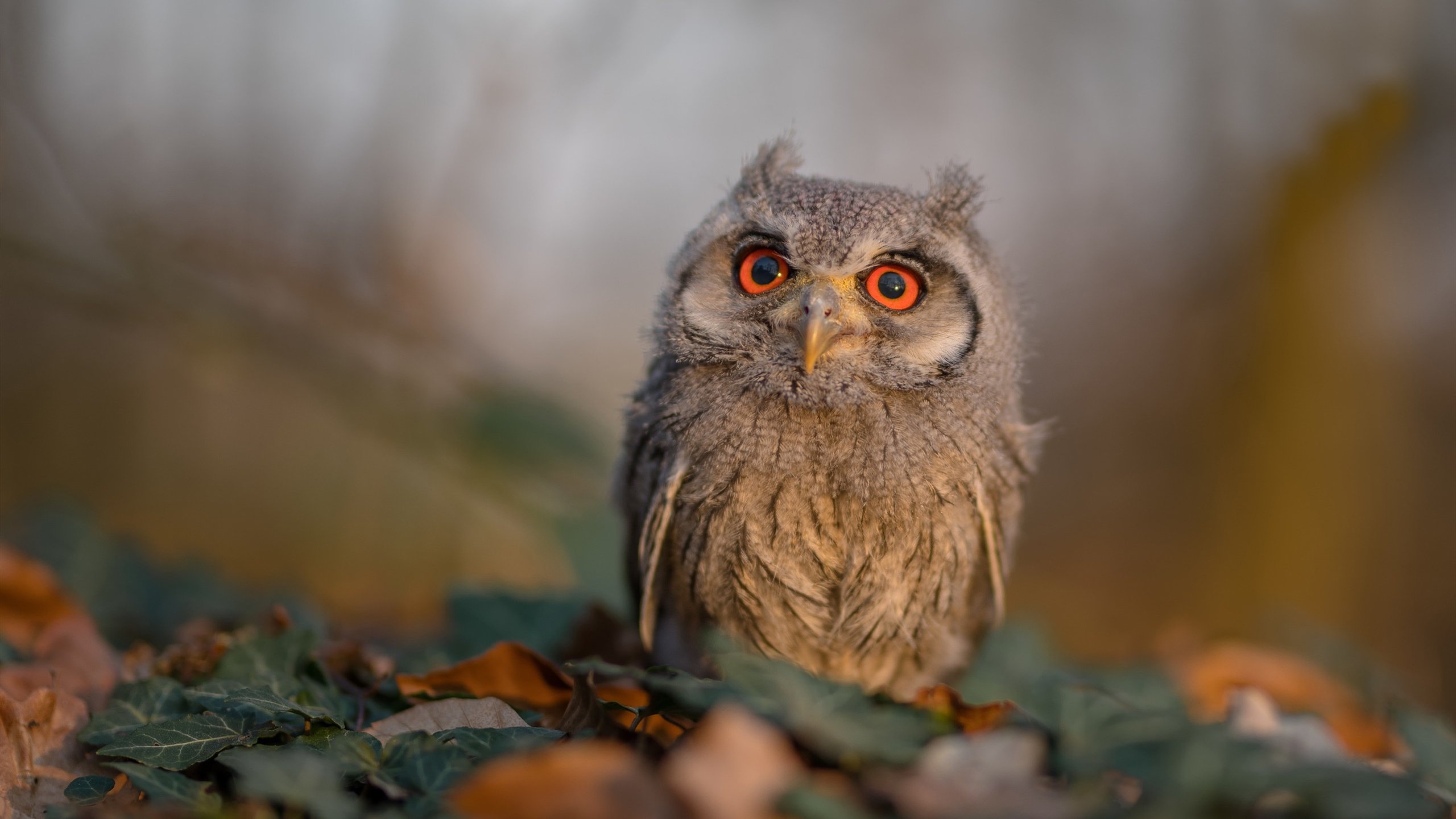 特色“足球+旅游+文化”产业融合示范区在行业内持续推广,足球特色园试点工作总结报告