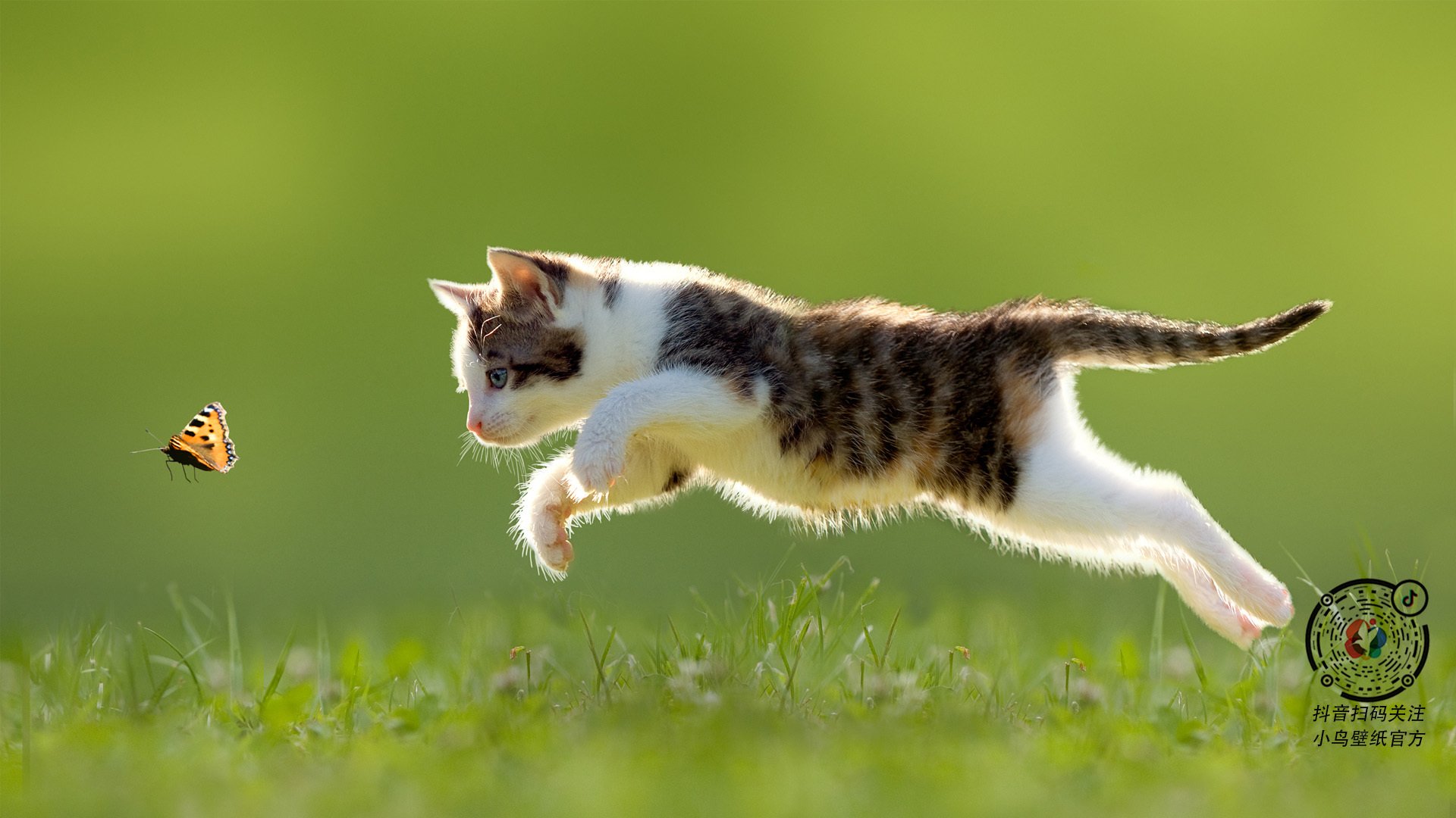 开云·体育官网APP下载-CBA联赛观众互动平台建设研究，cba2020观众可以看球吗