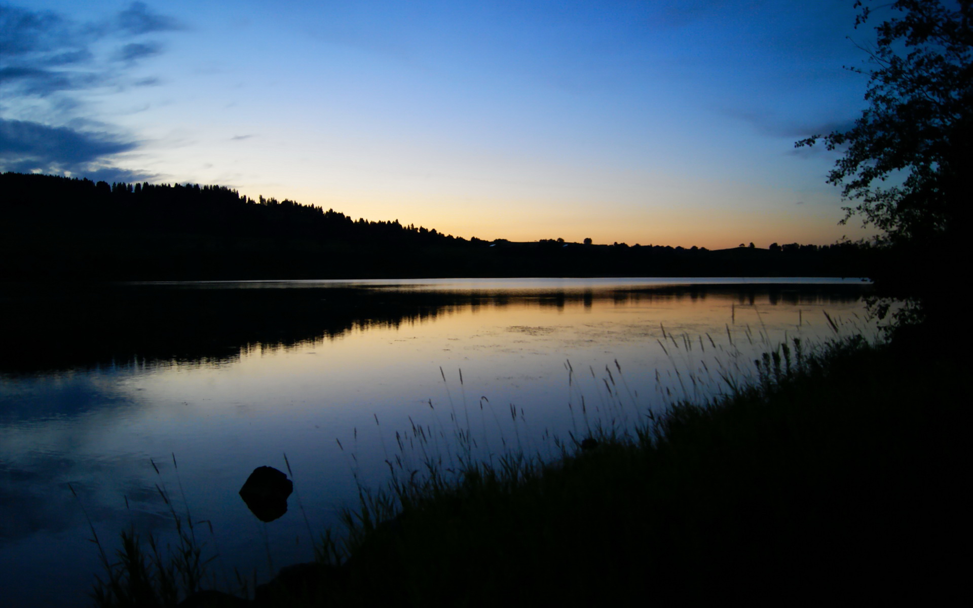 开云平台-乌拉圭队在巴黎奥运会比赛中展现出快速反击战术，奥运会乌拉圭第几个出场