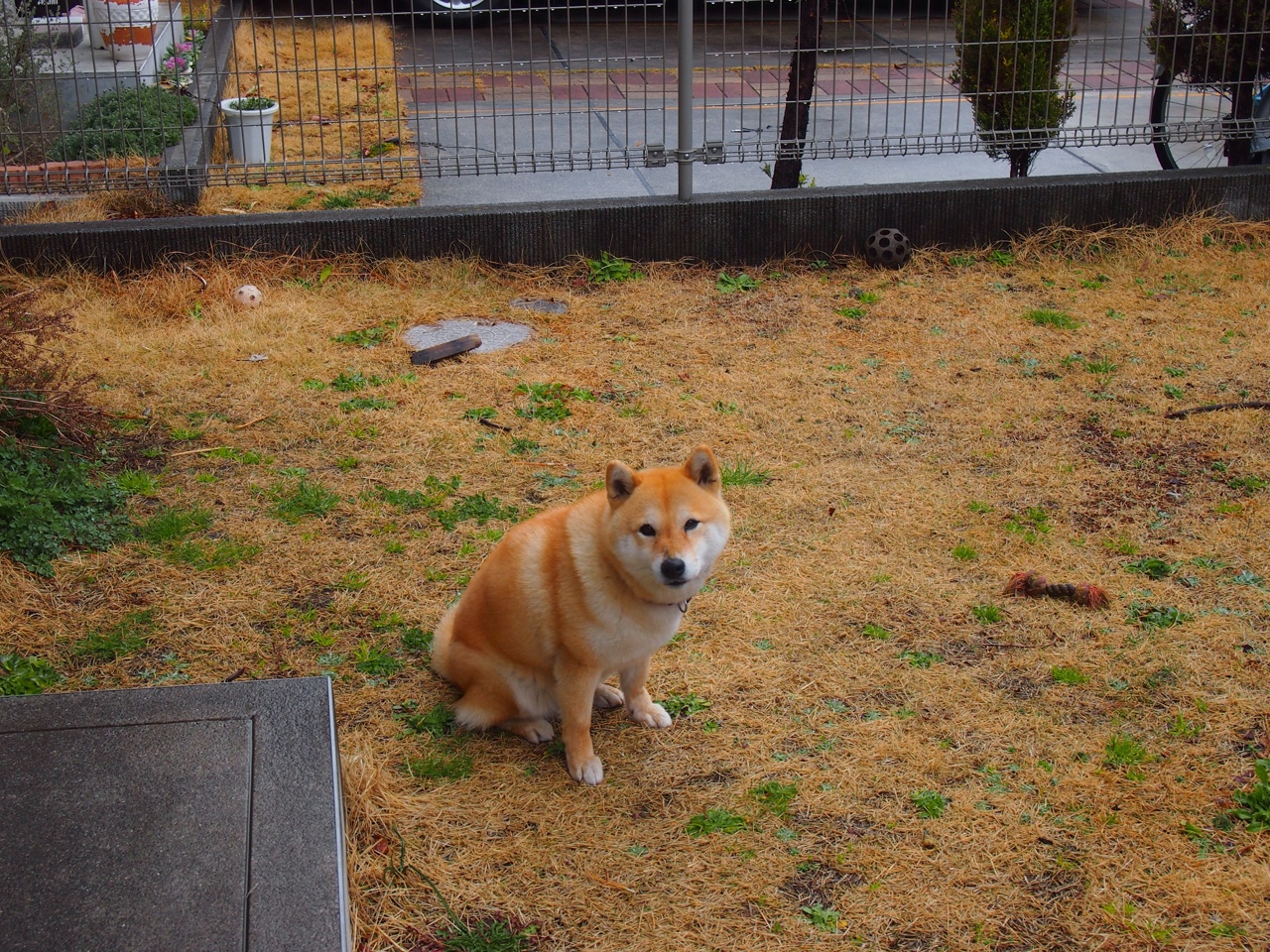 利物浦神锋哈兰德发挥出色,助球队取得胜利,哈兰德经纪人会面曼城利物浦切尔西 唯独没曼联