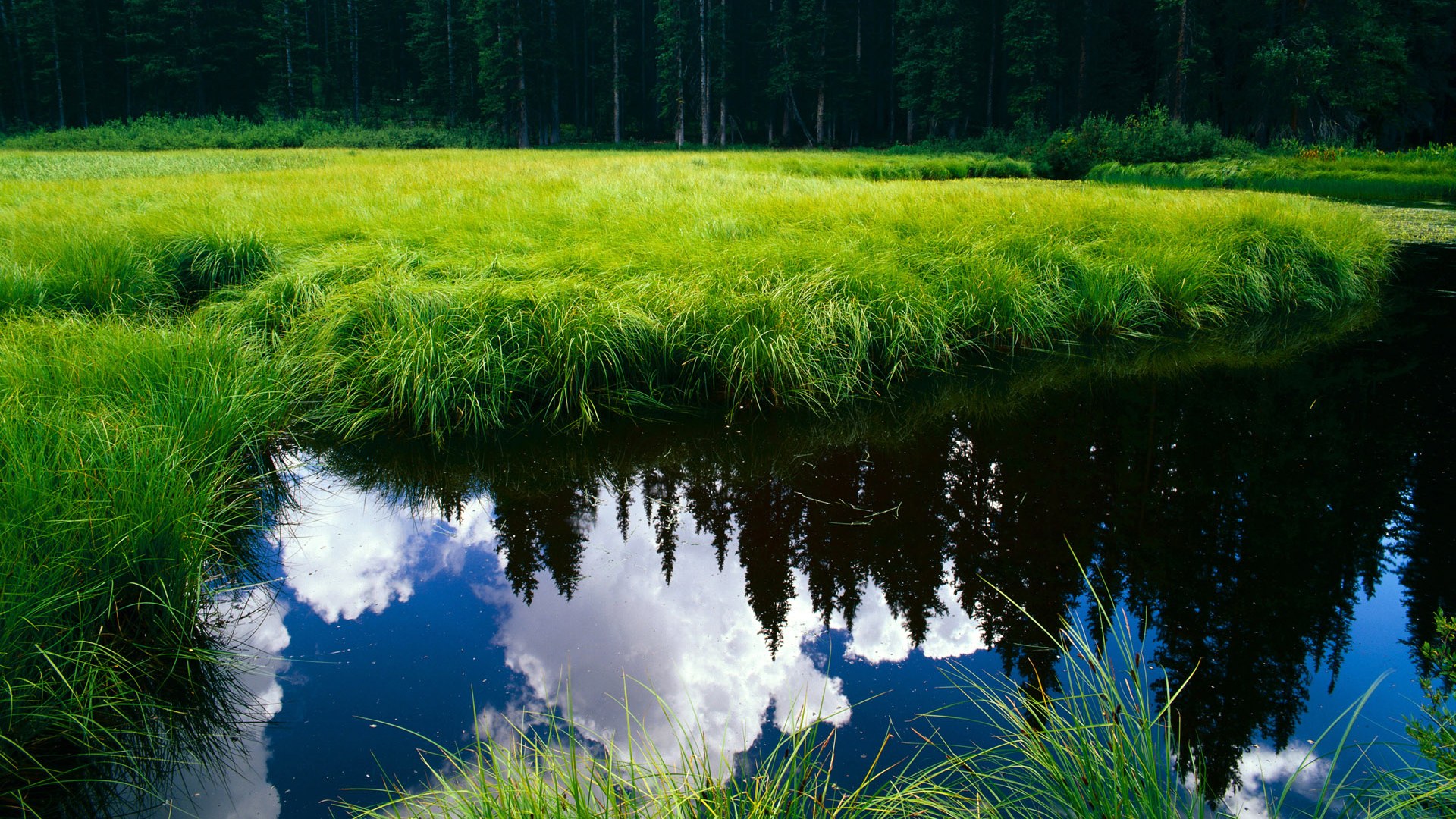 kaiyun体育综合-北马其顿队员实力强劲，实现势不可挡，北马其顿资料