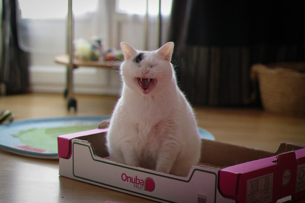 开云·体育官网APP下载-原州东浦新世代新赛季状态回暖，新蒲东原