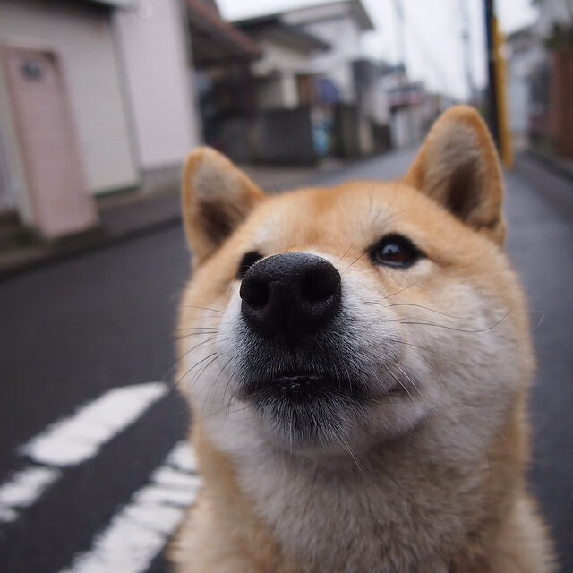 开云kaiyun-尤文图斯主场大胜，稳坐积分榜首位，尤文图斯主场是哪里