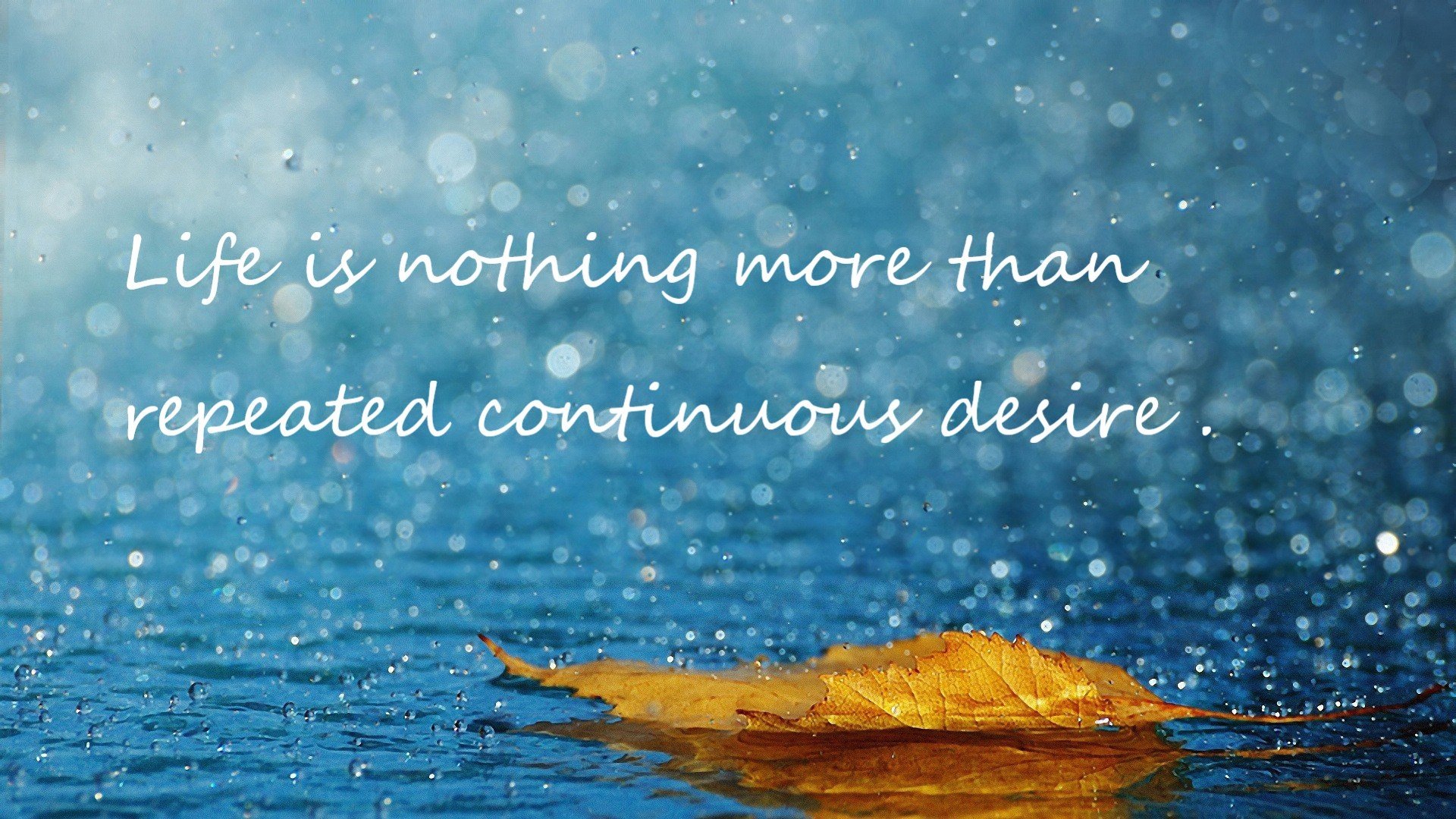 布莱顿客场逼平水晶宫,英超保级形势稍显缓和,布莱顿对水晶宫比分结果