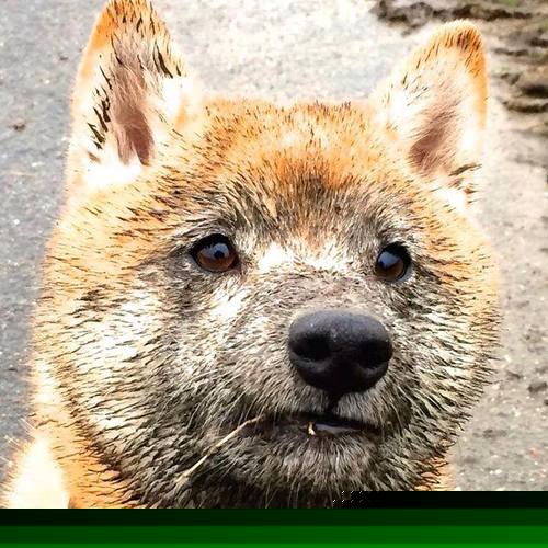 kaiyun体育app-掘金队负于老鹰，步行者队在关键时刻稳定发挥，掘金队视频