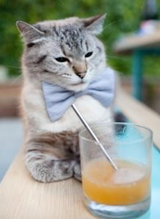 开云网站-新疆飞虎稳步提升季后赛竞争力，新疆飞虎球员名单