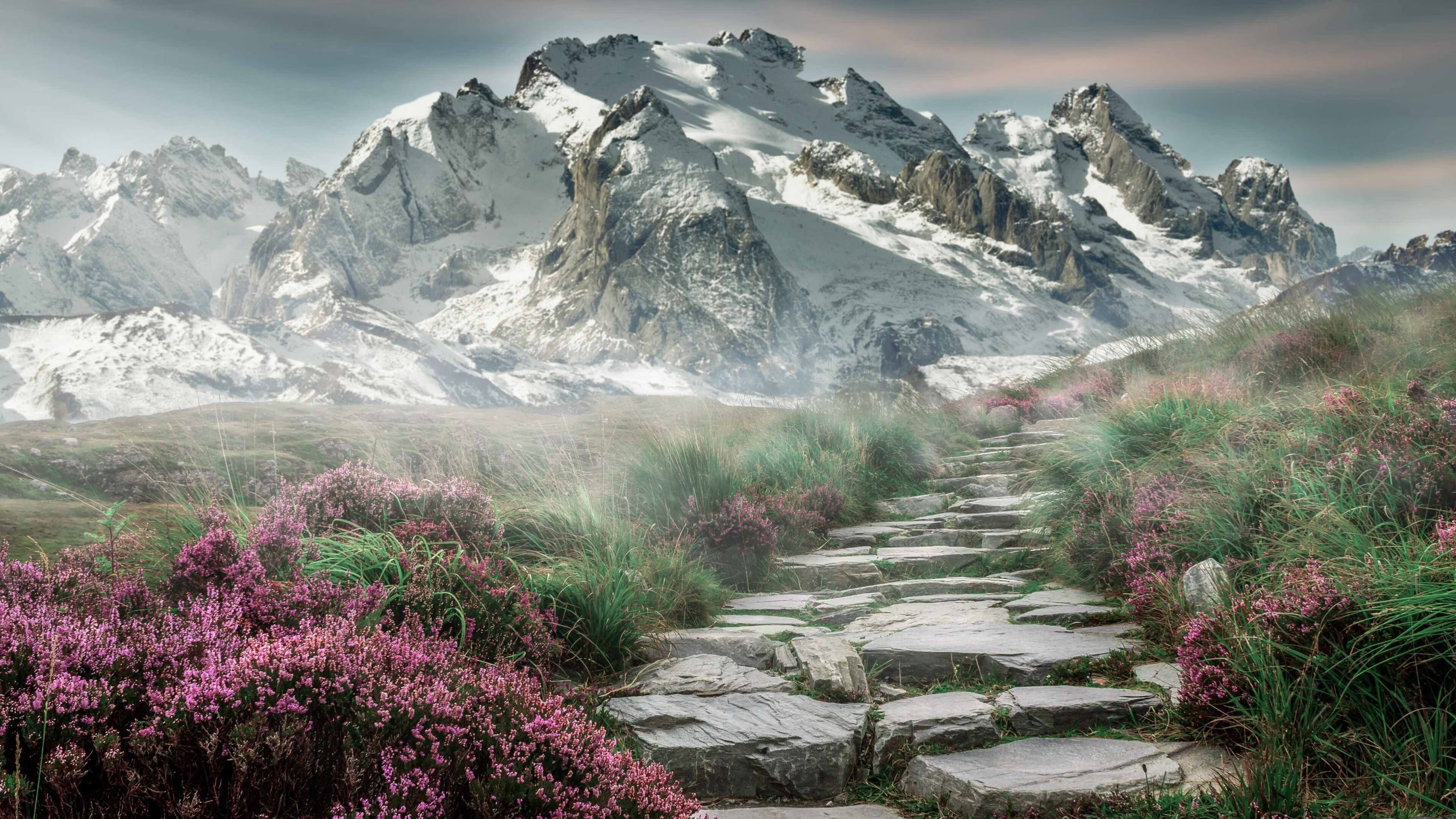 日本队拼搏到底,绝不轻言放弃!,日本队输了没