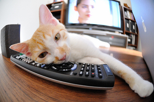 是否应支持球员参与国际非营利组织,是否应支持球员参与国际非营利组织运营