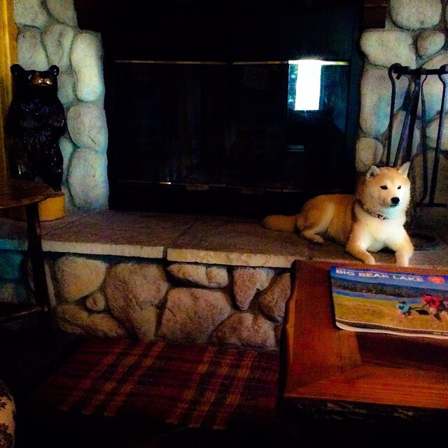 世俱杯最新赛况:谁能搅动这场全球盛会?,世俱杯赛程表2020