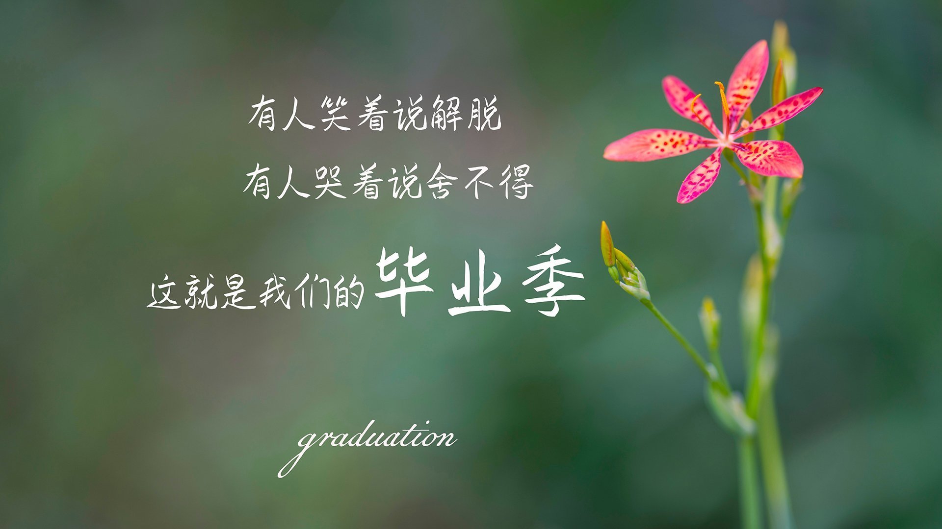 kaiyun官方网站-英超球员视觉追踪训练提升场上决策速度的探索，英超专家分析