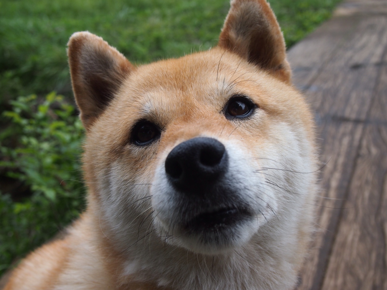 高校运动心理学服务体系完善路径，运动心理学在大众锻炼中有哪些作用