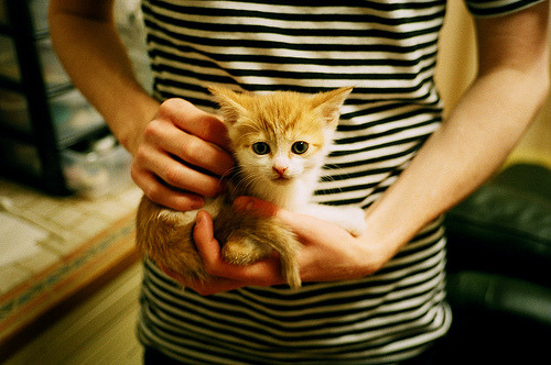 中国攀岩队完成高原耐力集训,中国攀岩队完成高原耐力集训了吗