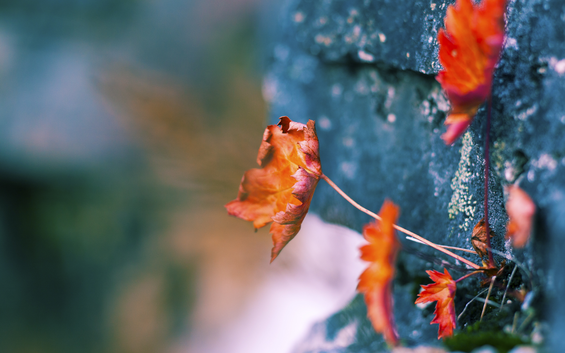中国男篮加强篮板争夺 提升二次进攻效率，中国男篮晋级