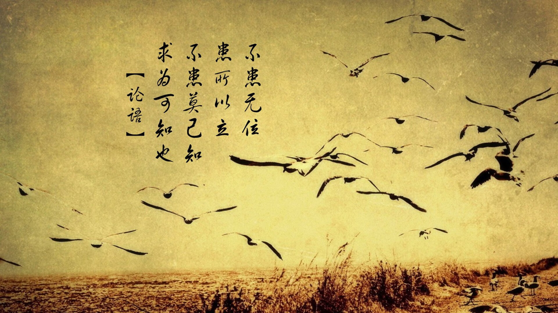 校园足球文化活动被边缘化,校园足球文化活动有哪些