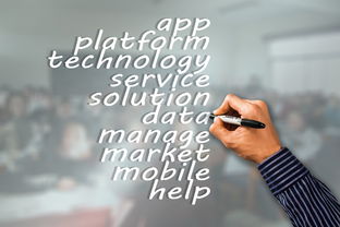 开云官方-瑞典队未来：如何建立更具竞争力的国际品牌，瑞典队分析