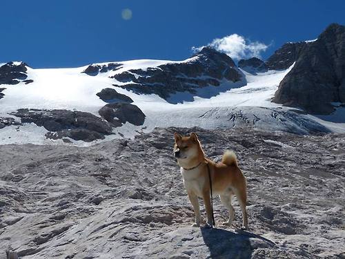 kaiyun中国官方网站-奥康纳的迅速反应与突破能力，为袋鼠队带来致命进攻，奥康纳生平