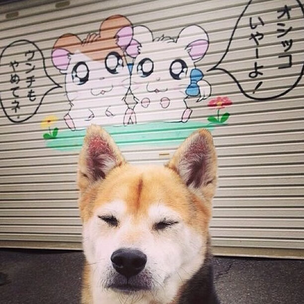 kaiyun.com-特斯·冯·迪克：为南非队的进攻体系注入活力，推动攻势发展，冯斯特拉克家族