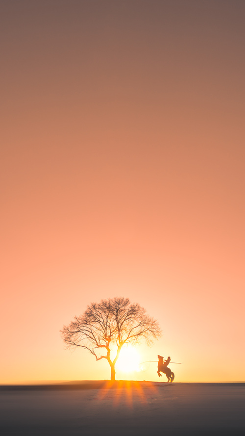 美洲杯战术阵型的演变轨迹,美洲杯规律