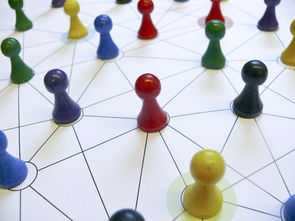 开云体育备用链接-中国篮球青训教练员能力提升路径，篮球青训师的待遇怎么样